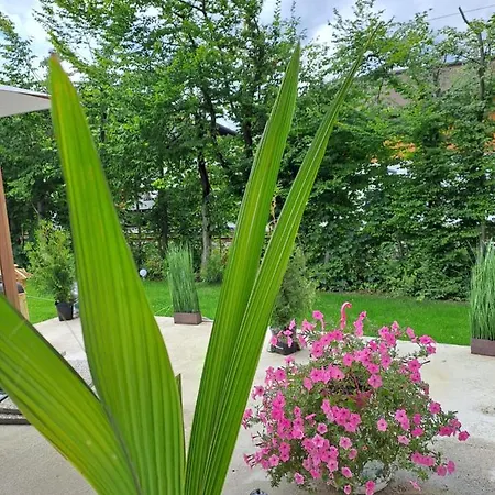 Lodge Zwei Hirsche Seefeld in Tirol