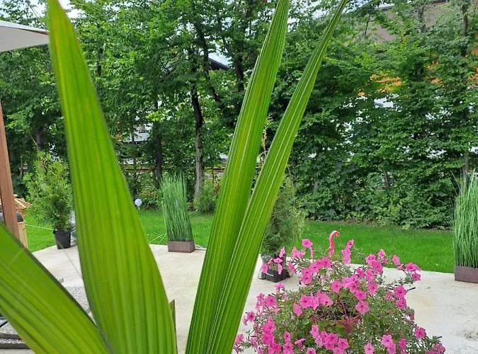 Domek letniskowy Zwei Hirsche Seefeld w Tirolu