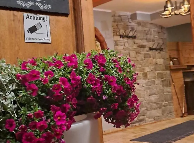 Zwei Hirsche Seefeld in Tirol