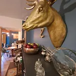 Дерев'яний котедж Zwei Hirsche
